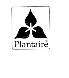 PLANTAIRE