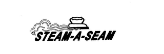 STEAM-A-SEAM