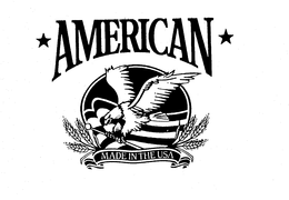 AMERICAN MADE IN THE USA
