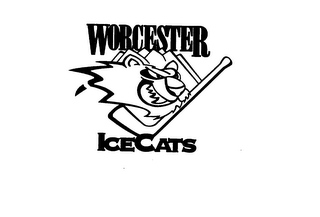 WORCESTER ICE CATS