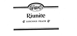 RIUNITE LUSCIOUS PEACH