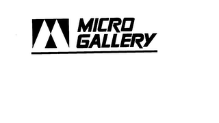 MICRO GALLERY