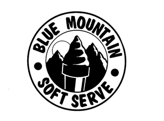 BLUE MOUNTAIN SOFT SERVE ICE CREAM