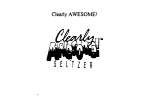 CLEARLY AWESOME! SELTZER