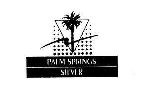 PALM SPRINGS SILVER