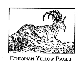 ETHIOPIAN YELLOW PAGES