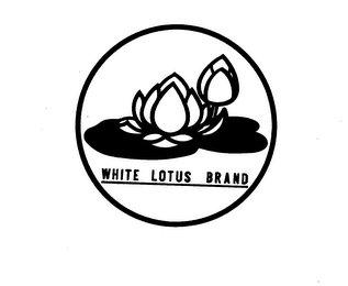 WHITE LOTUS BRAND