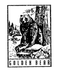 GOLDEN BEAR