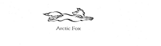 ARCTIC FOX