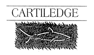 CARTLEDGE