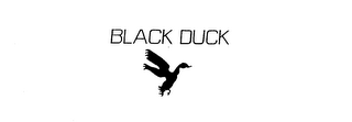 BLACK DUCK