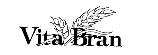 VITA BRAN