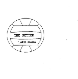 THE SETTER TACHIKARA