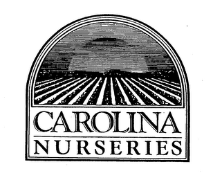 CAROLINA NURSERIES