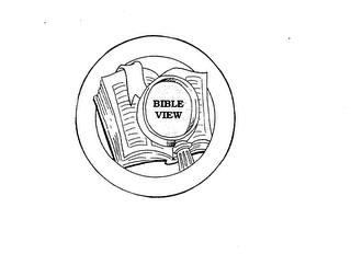 BIBLE VIEW