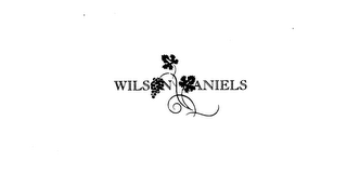 WILSON DANIELS