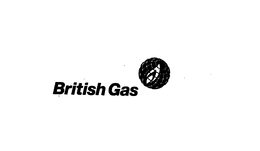 BRITISH GAS PLC