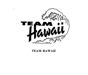 TEAM HAWAII