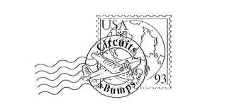 CIRCUITS & BUMPS, INC. USA 93