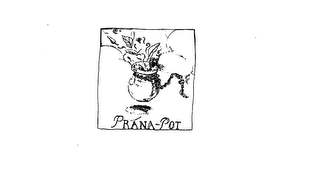 PRANA-POT