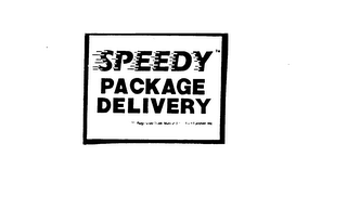 SPEEDY PACKAGE DELIVERY