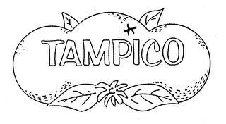 TAMPICO