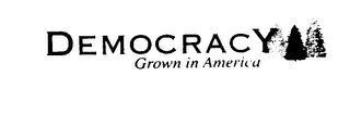 DEMOCRACY GROWN IN AMERICA
