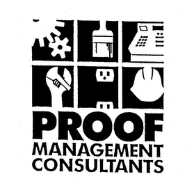 PROOF MANAGEMENT CONSULTANTS