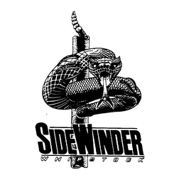 SIDEWINDER WHIPSTOCK