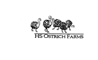 HS OSTRICH FARMS