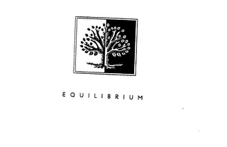 EQUILIBRIUM