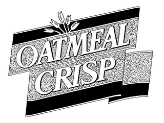 OATMEAL CRISP