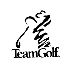 TEAMGOLF