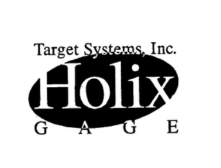 TARGET SYSTEMS, INC. HOLIX GAGE