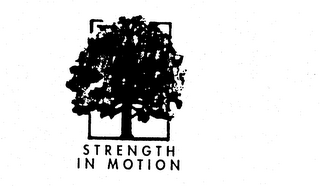 STRENGTH IN MOTION