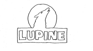 LUPINE