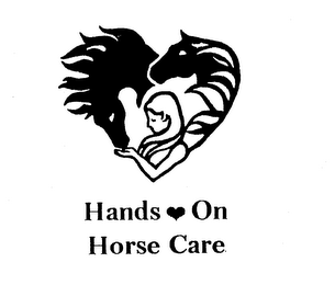 HANDS ON HORSE CARE