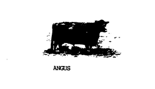 ANGUS