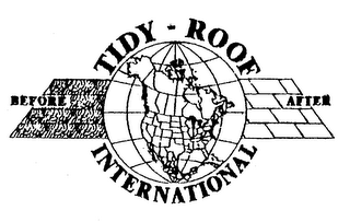 TIDY-ROOF BEFORE AFTER INTERNATIONAL