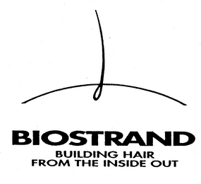 BIOSTRAND BUILDING HAIR FROM THE INSIDE OUT