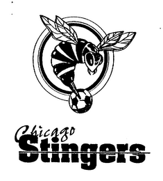 CHICAGO STINGERS