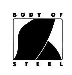 BODY OF STEEL