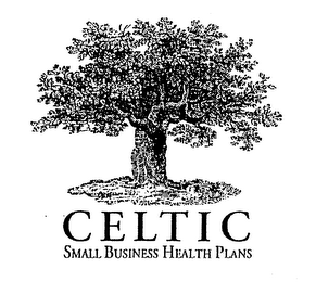 CELTIC SMALL BUSINESS HEALTH PLANS