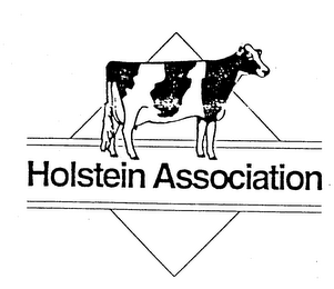 HOLSTEIN ASSOCIATION