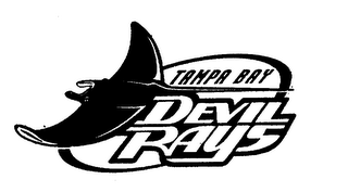 TAMPA BAY DEVIL RAYS