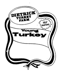 DIETRICK TURKEY FARM SELF BASTING YOUNG TURKEY