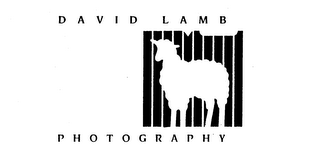 DAVID LAMB PHOTOGRAPHY