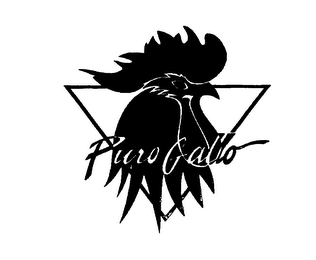 PURO GALLO