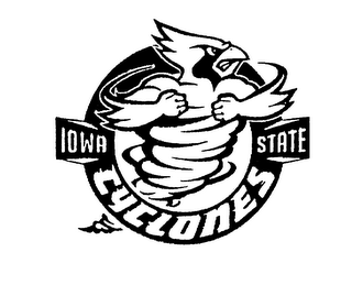 IOWA STATE CYCLONES