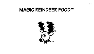 MAGIC REINDEER FOOD